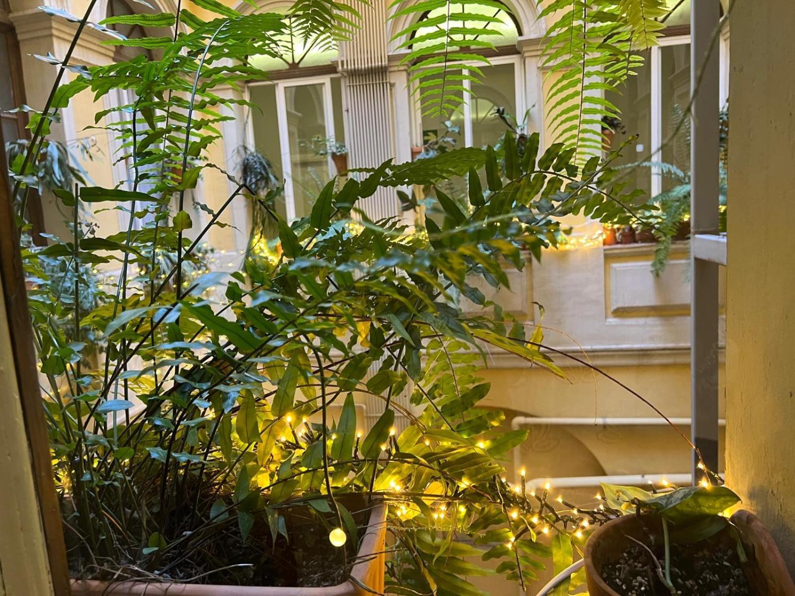 Plaza Goya Rooms Barcelona Bagian luar foto